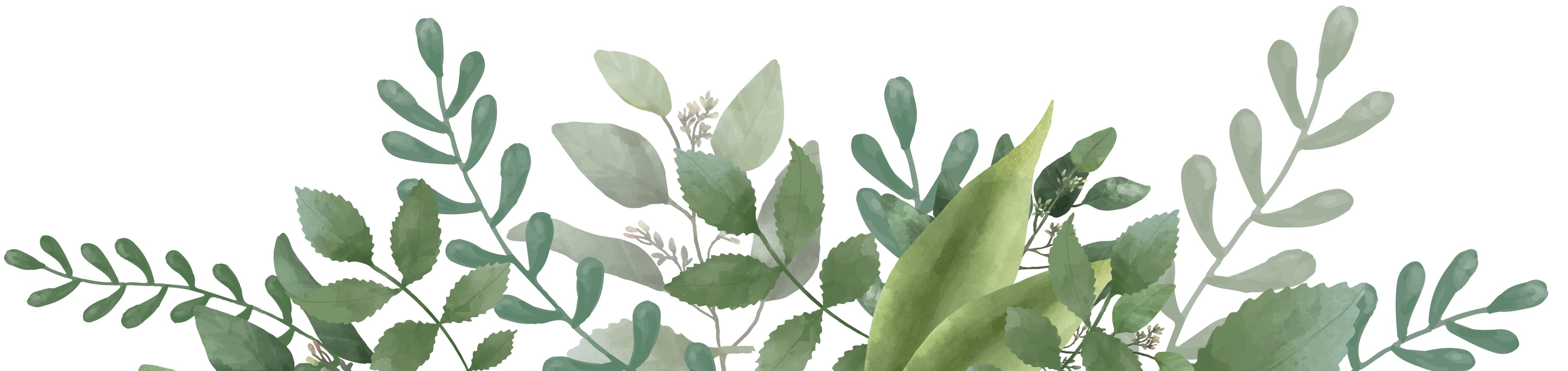 Green leaves decoration