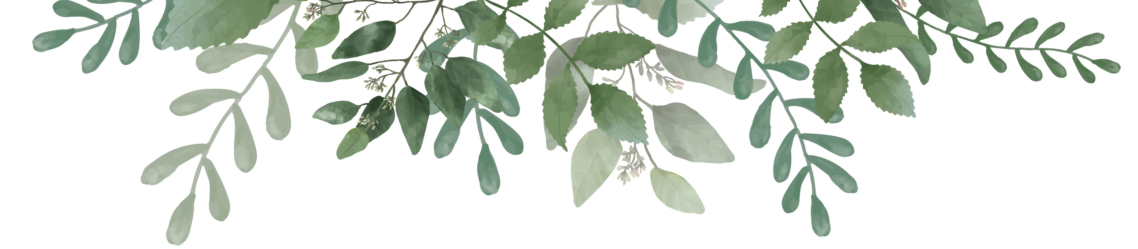 Green leaves decoration